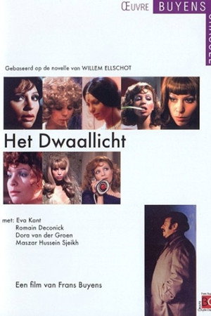 Het Dwaallicht
