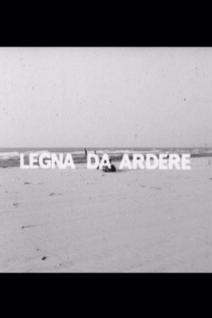 Legna da ardere