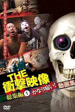THE 衝撃映像 総集編（1）かなり痛い！動画集