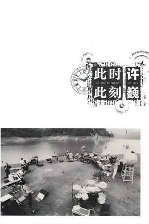 许巍:此时此刻 纪录片