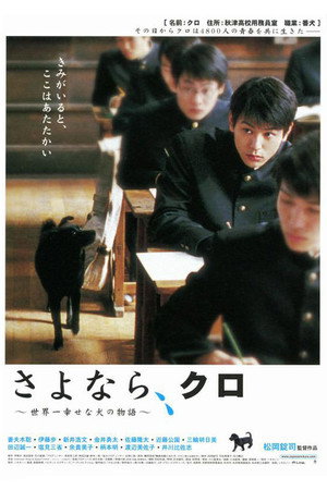 再见!小黑