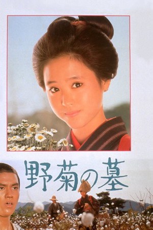野菊之墓