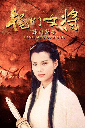 杨门女将之辕门斩子