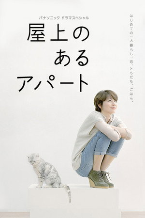 屋顶的公寓