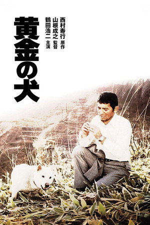 黄金之犬