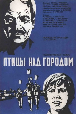 Птицы над городом