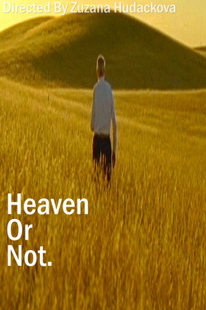 Heaven Or Not