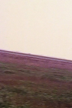 Dutch Mountain
