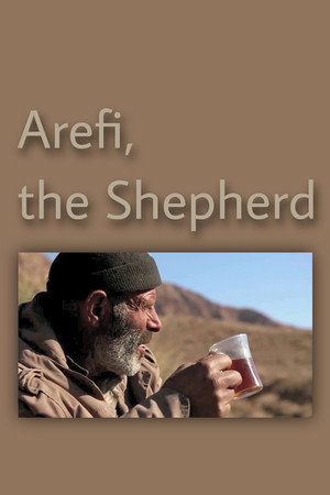 Arefi, der Hirte
