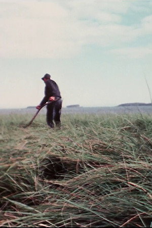 Farmer