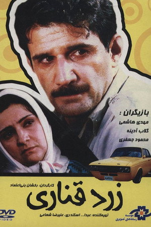 زرد قناری