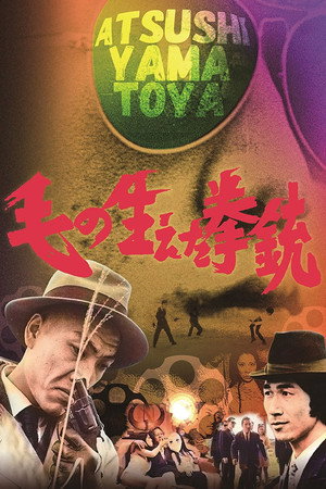 长毛的手枪