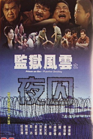 监狱风云之夜囚