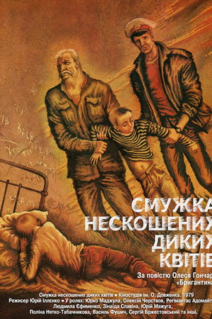 Полоска нескошенных диких цветов