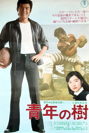 青年の樹