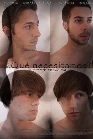 ¿Qué necesitamos?