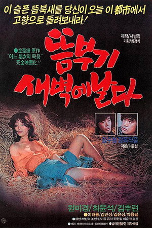 뜸부기 새벽에 날다
