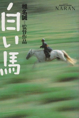 白い馬