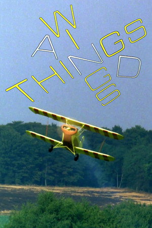 Wings and Things