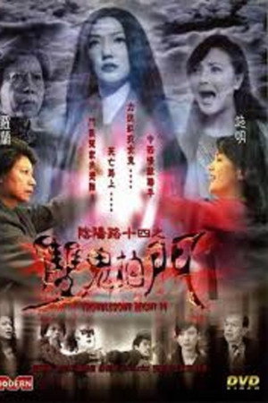 阴阳路14：双鬼拍门