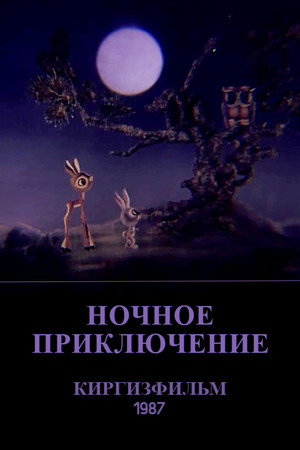 Ночное приключение