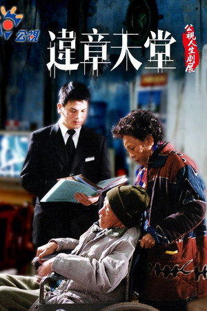 违章天堂