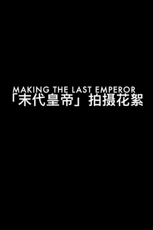 制作《末代皇帝》