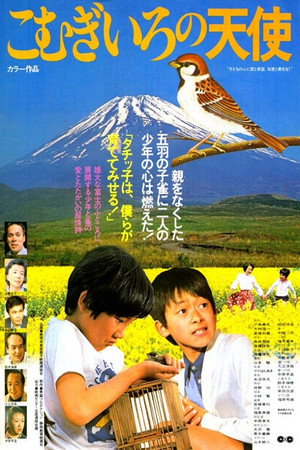 栗色小天使