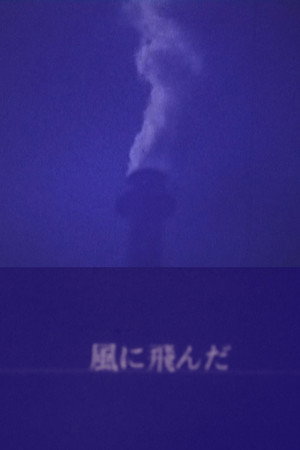 風に飛んだ
