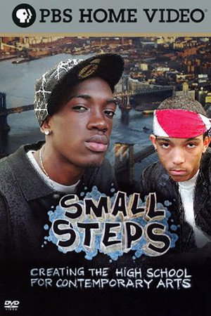Small Steps: Creating the High School for Contemporary Arts