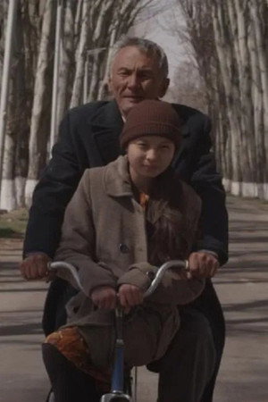 Чайка