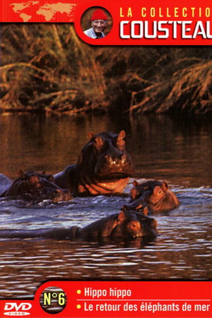 La collection Cousteau N°6 | Hippo, Hippo | Le retour des éléphants de mer