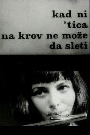 Kad ni 'tica na krov ne može da sleti