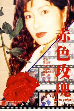 赤色玫瑰