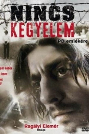 Nincs kegyelem