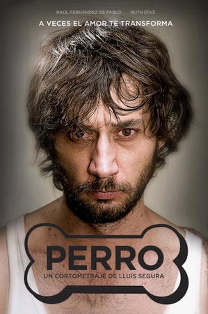 Perro