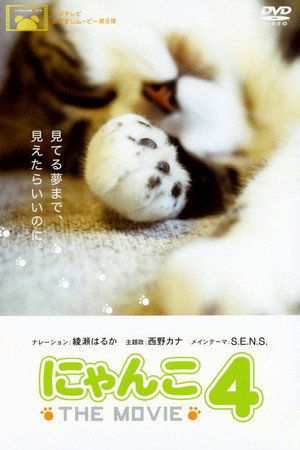 猫咪物语4