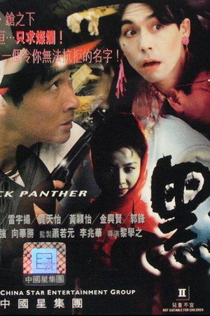 黑豹