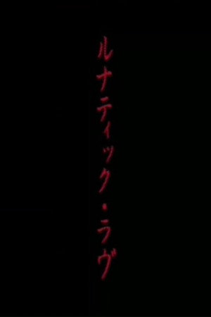 错乱的爱