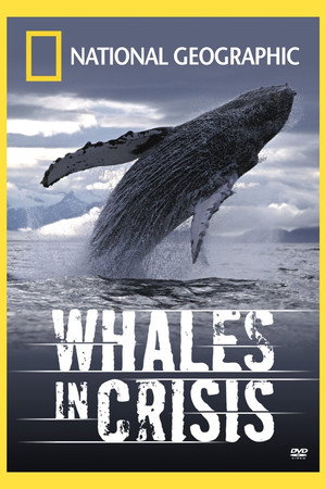 Whales in Crisis