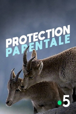 Protection parentale