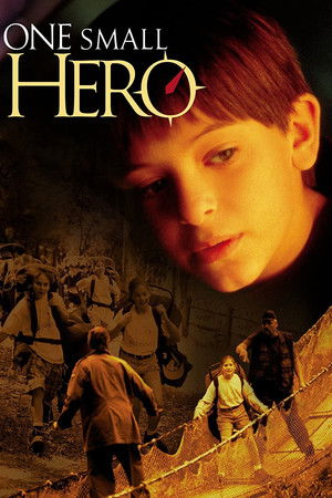 One Small Hero