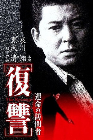 复仇:命运的访问者