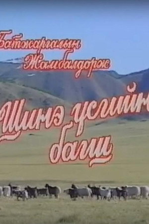 Шинэ үсгийн багш