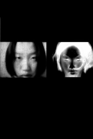 진실 <모순> 거짓
