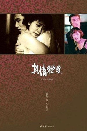 真情狂爱