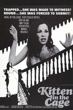 Kitten in a Cage