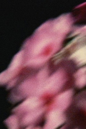 Five Year Diary, Reel 80: Emily Died (May 14–September 26, 1994)