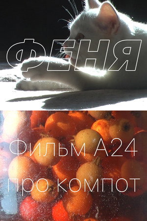 Феня