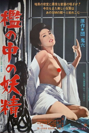 牢笼中的妖精